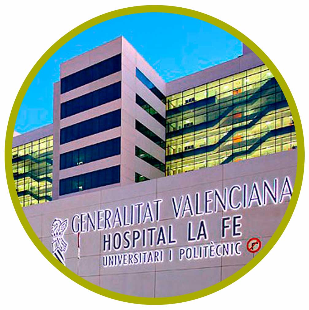 2003_hospital La Fé en Valencia